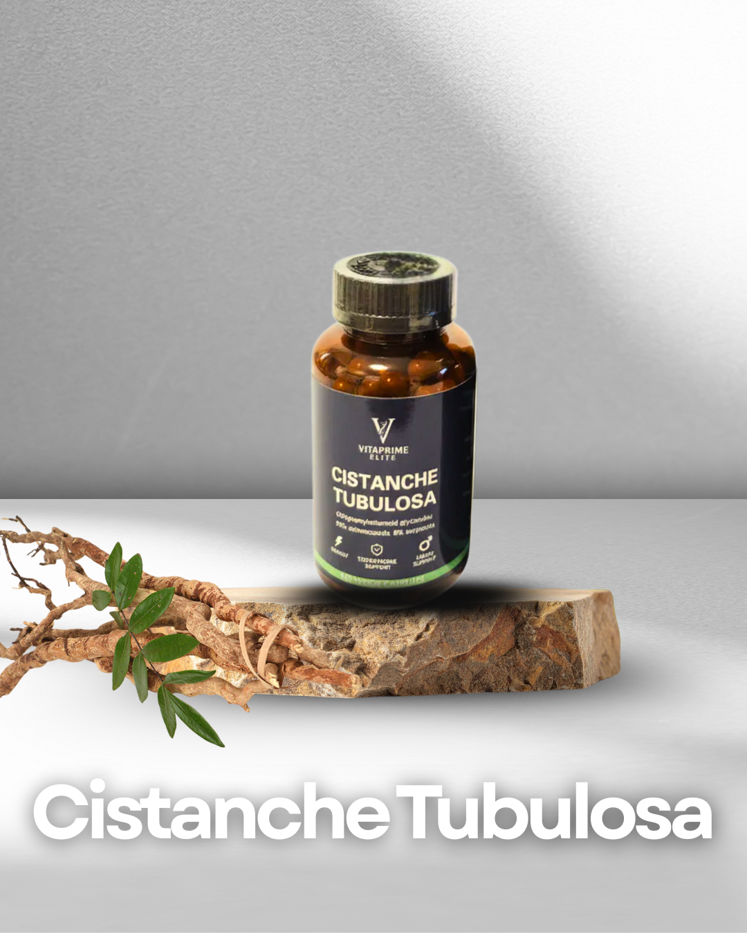 Cistanche Tubulosa